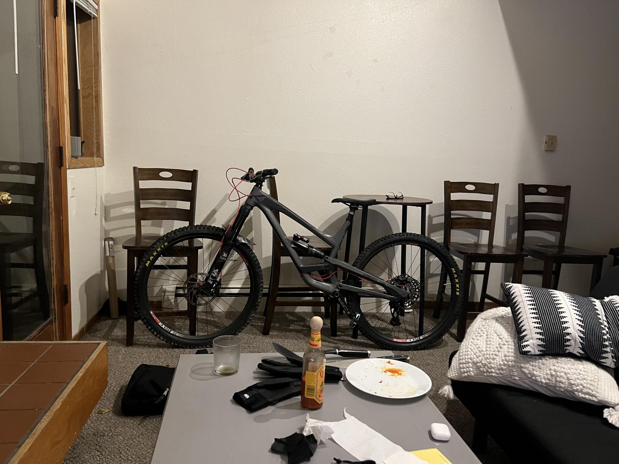 2019 YT Capra Silver, gray or bare metal