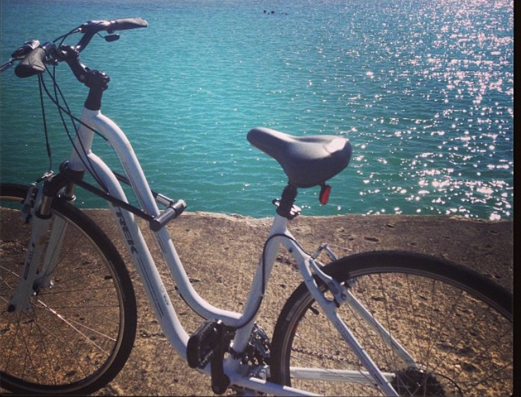 2013 Trek Verve 3 WSD White