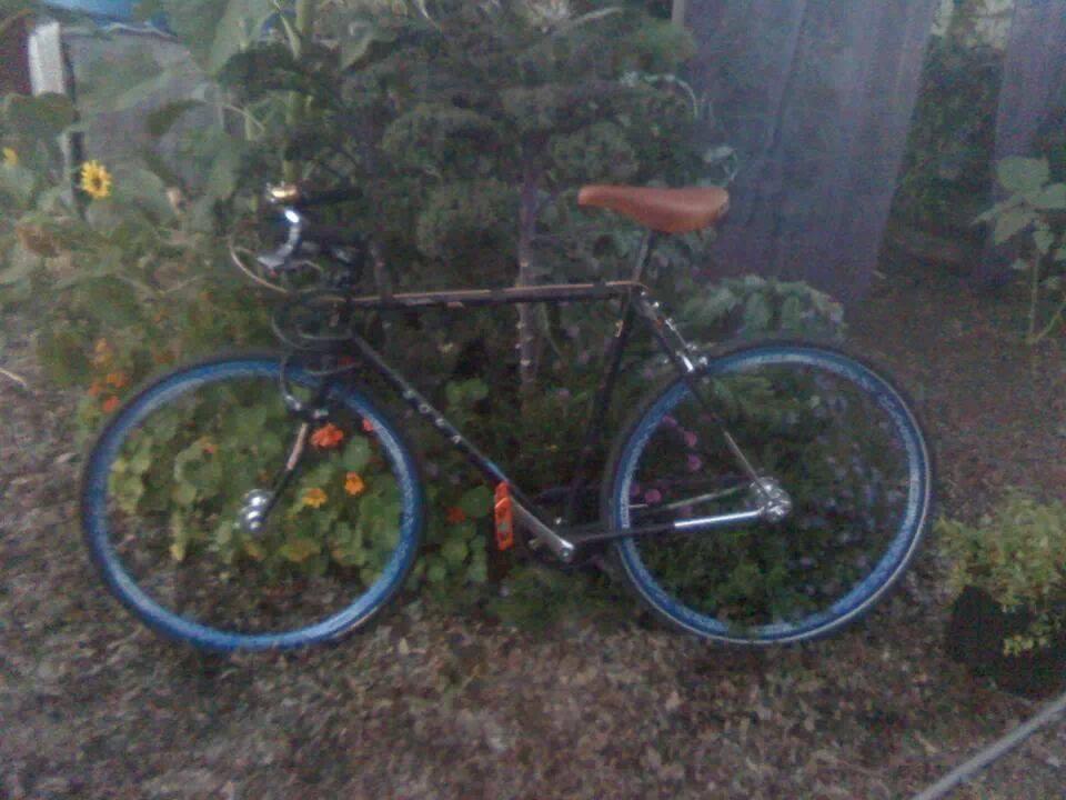 1982 Soma Competition  Black