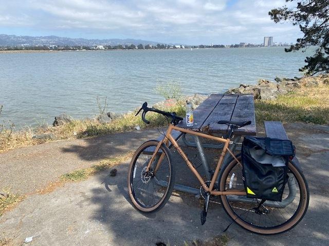 Marin Bikes Nicasio plus Brown