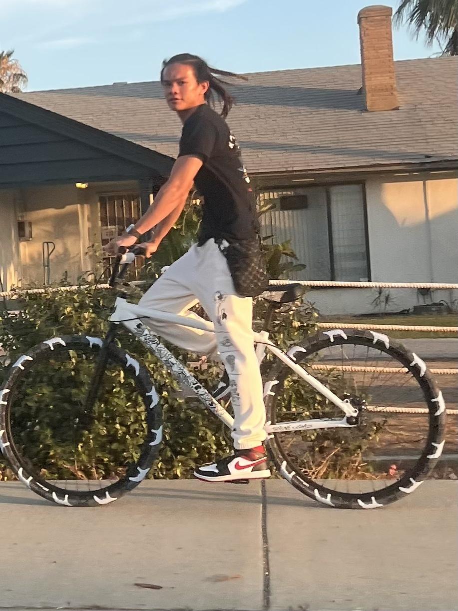 2022 Throne Cycles 29er White