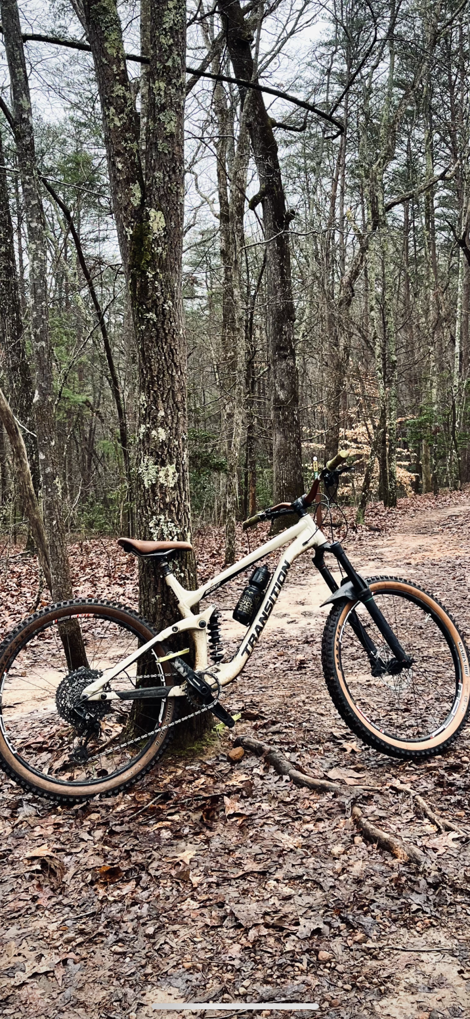 2019 Transition Bikes Scout Alloy Brown