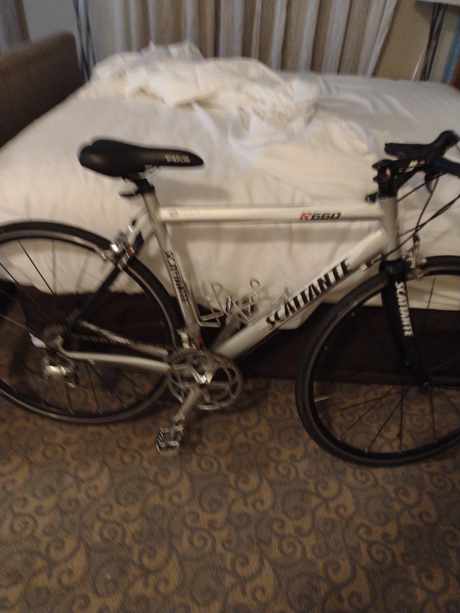 Scattante R660 Silver, gray or bare metal