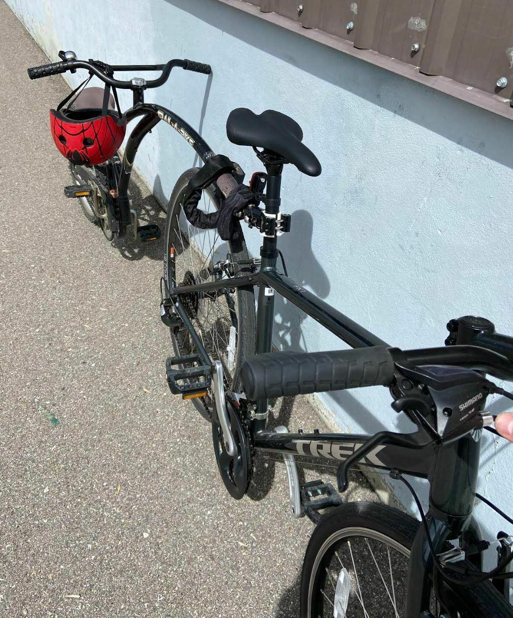 2023 Trek FX 1 Silver, gray or bare metal