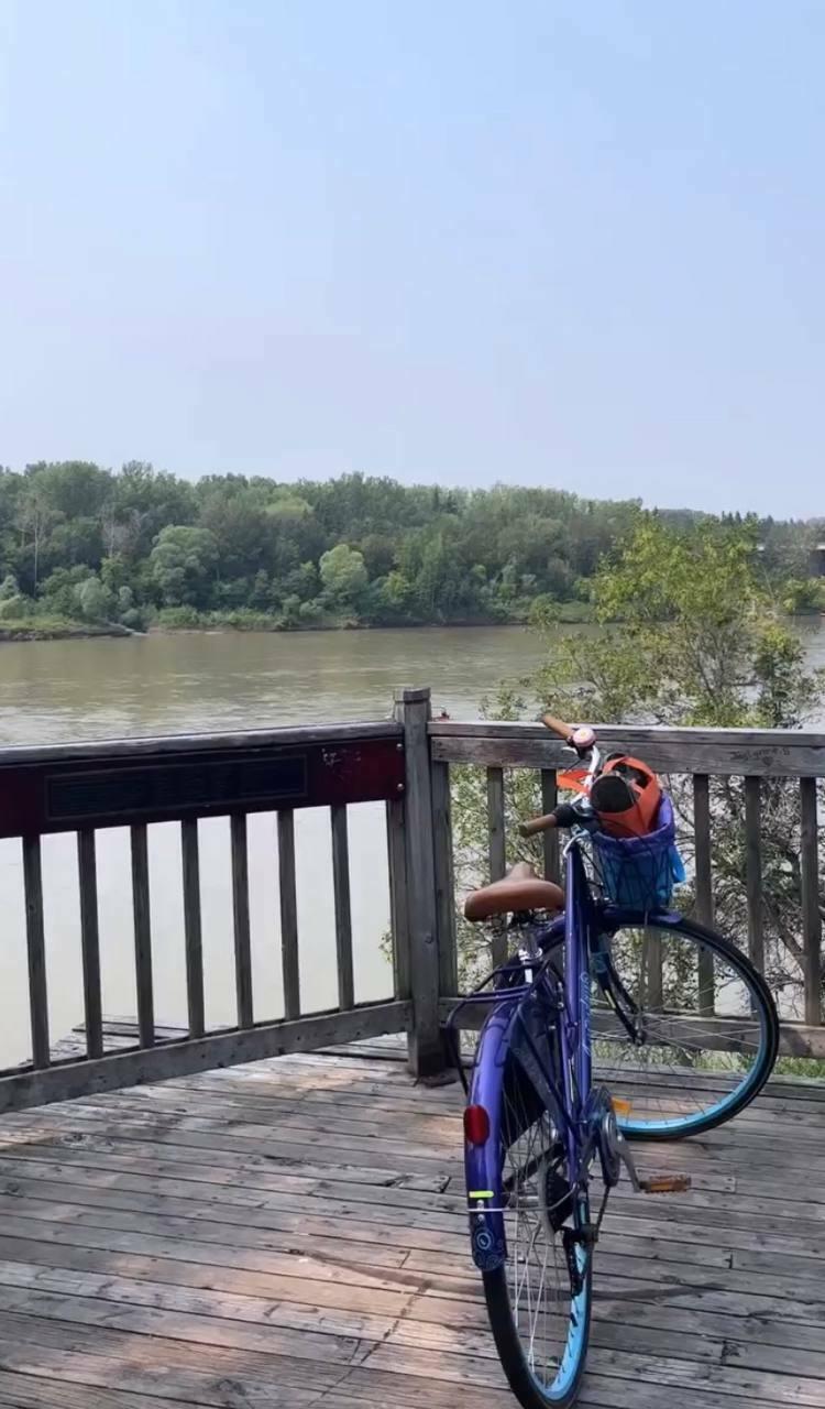 2020 Everyday Bicycles Queen St- Casual/Series Purple