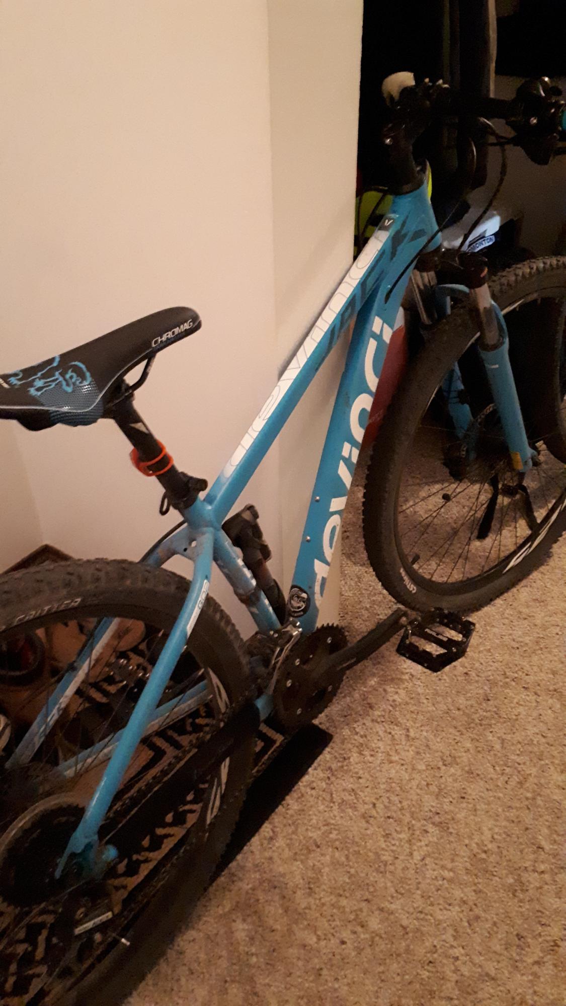 2015 Devinci Jack XP Blue and White