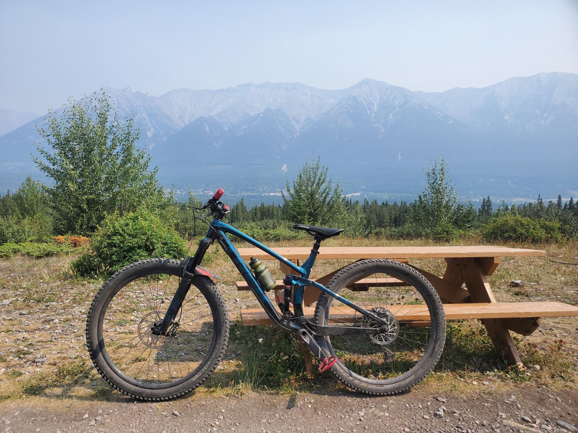 2021 Trek Fuel EX 8 Blue and Black