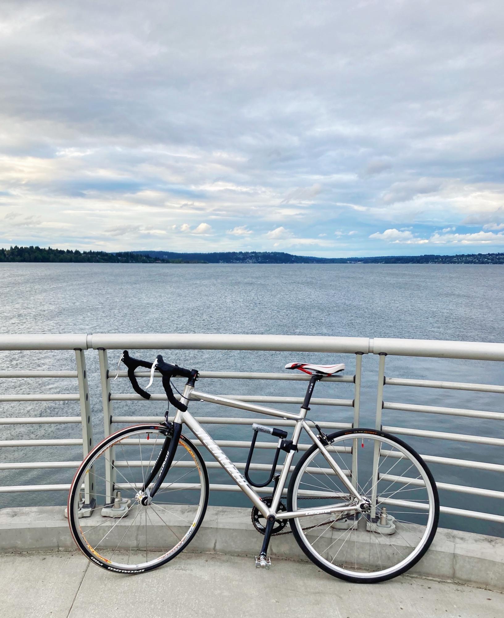 Specialized Langster Silver, gray or bare metal