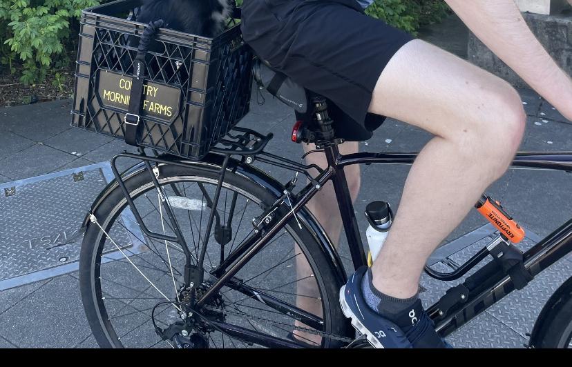 2021 Giant Escape Purple