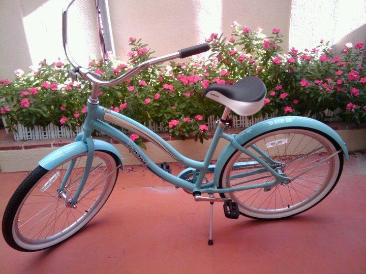 2010 Northrock Ocean Cruiser  Blue