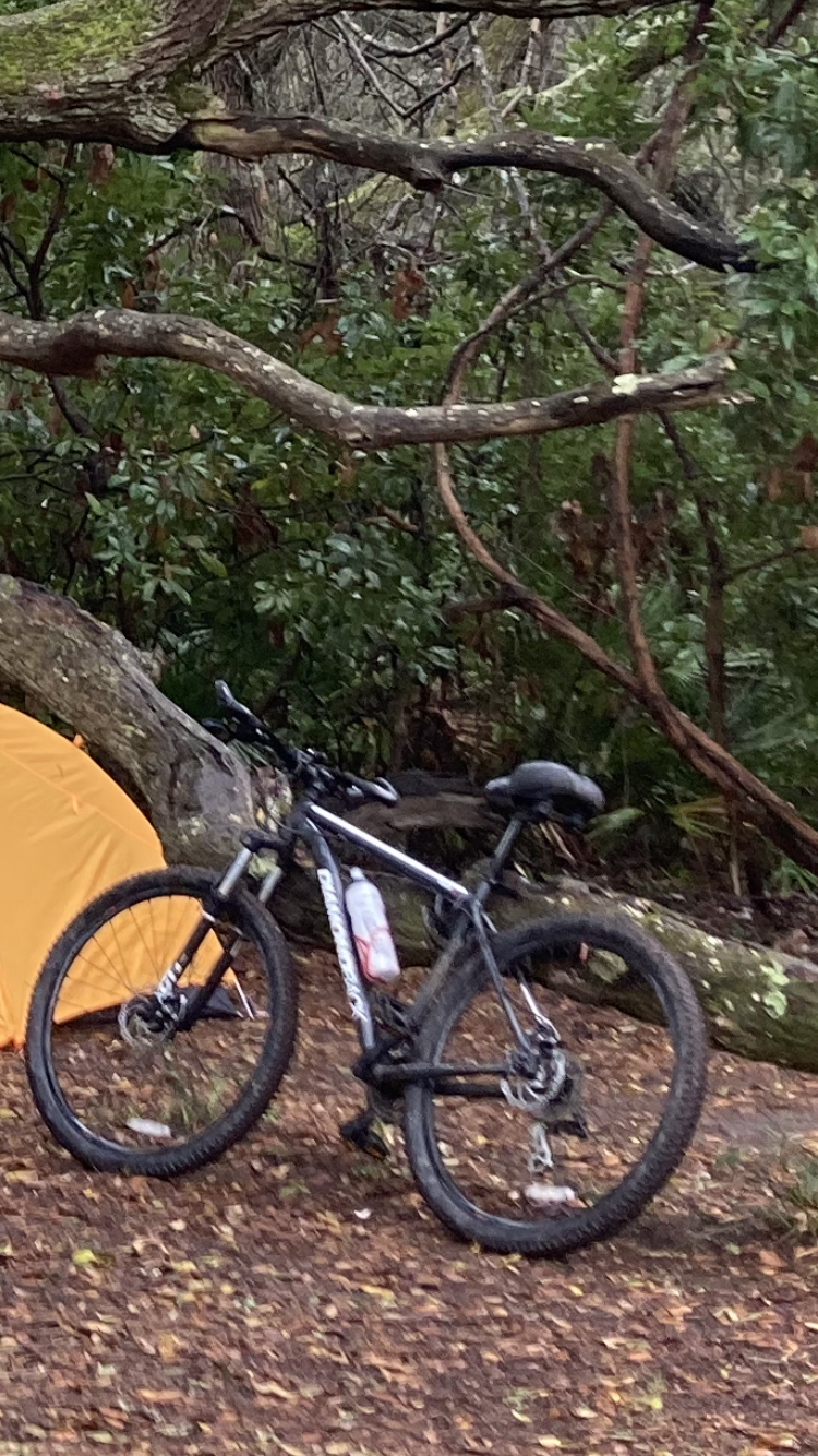 Diamondback not sure Black