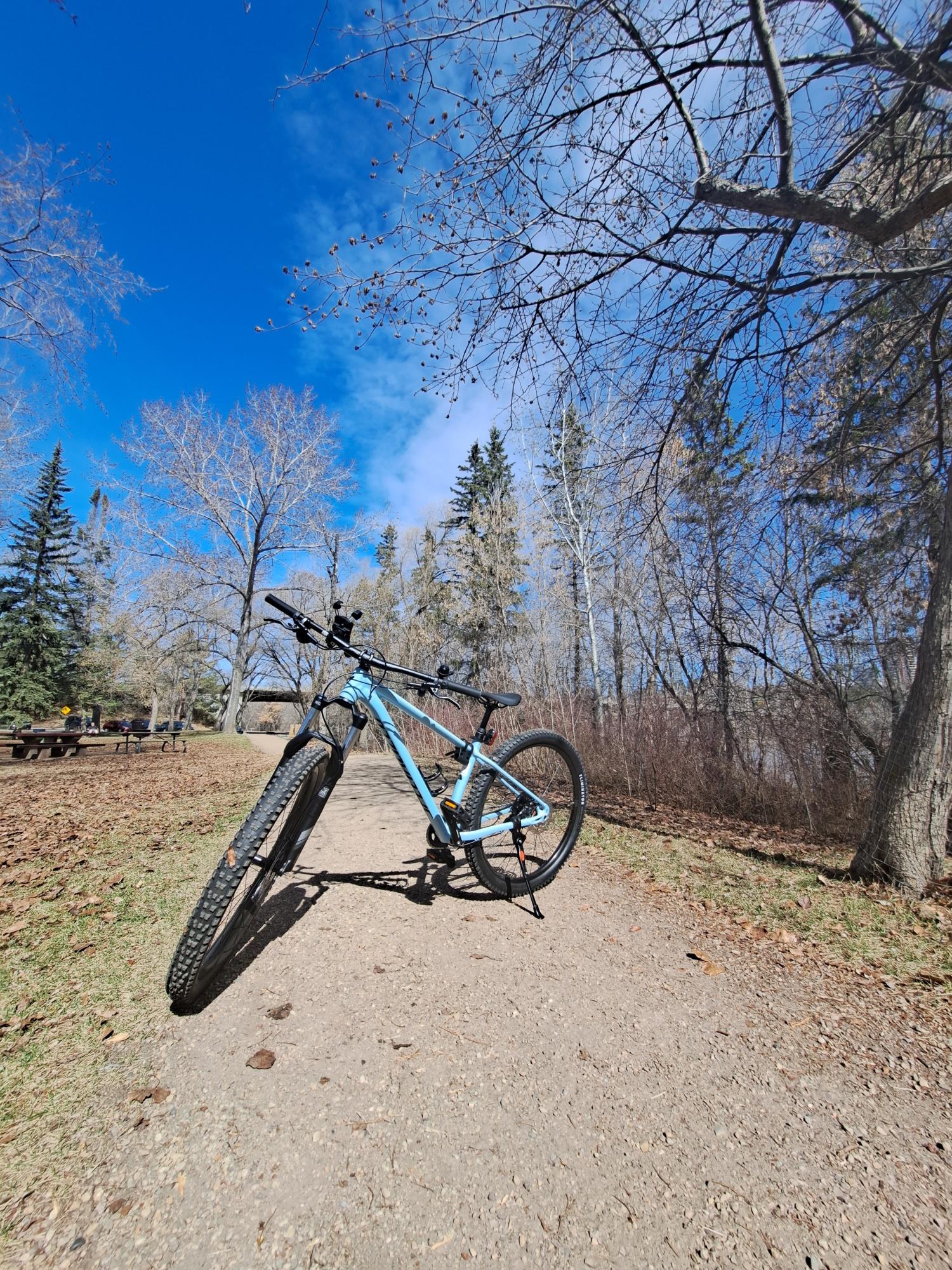2023 Specialized Fuse Blue