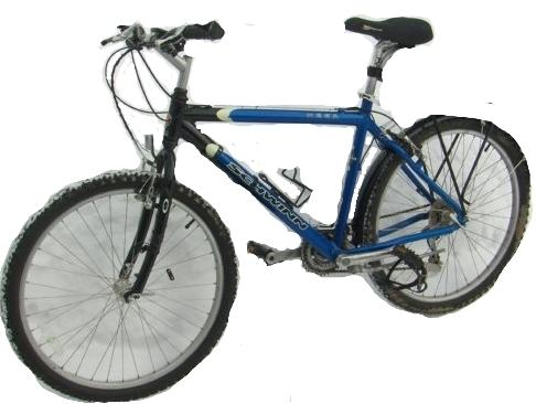 Schwinn Mesa  Black