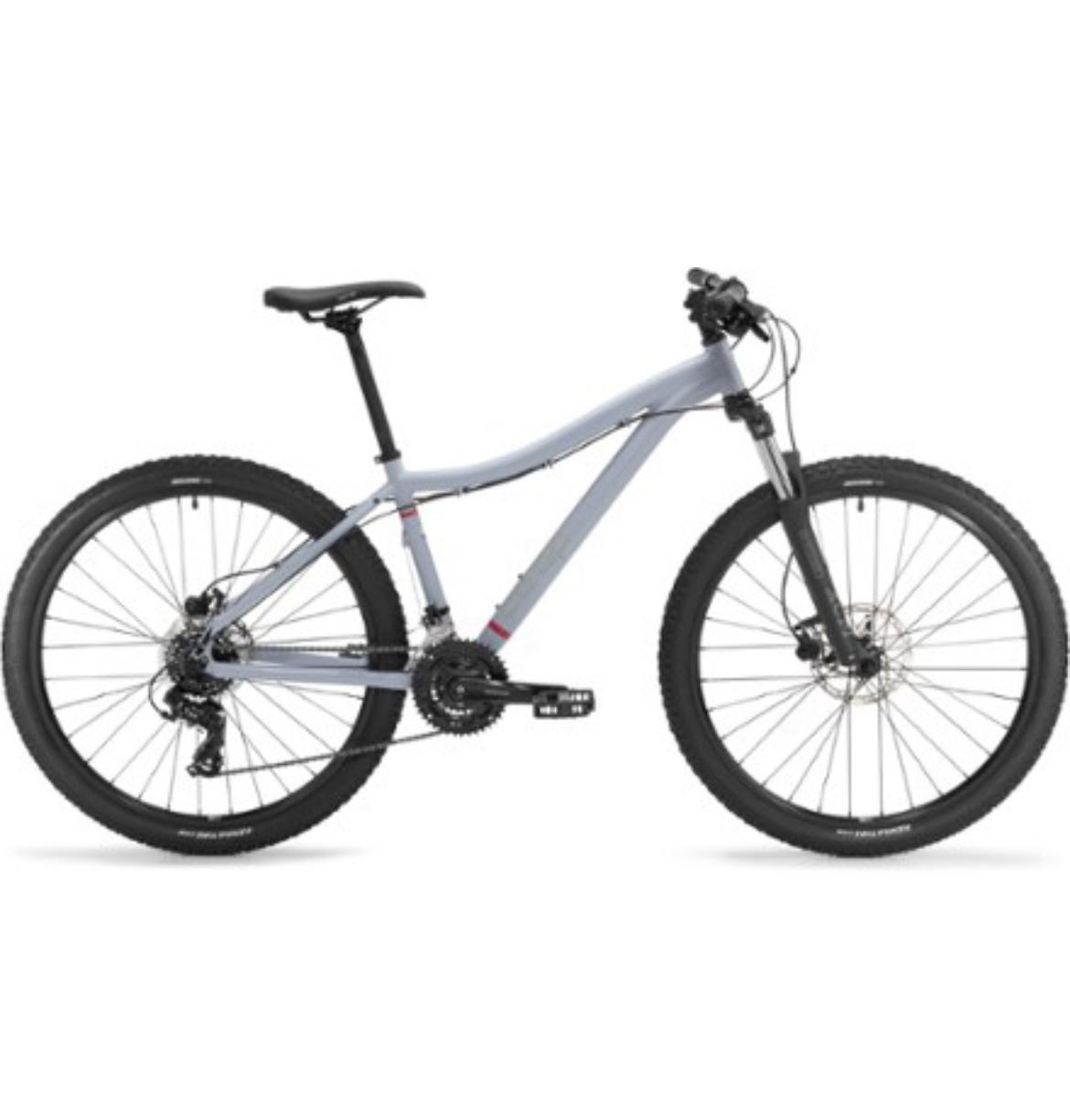 2021 REI Co-op DRT 1.1 Silver, gray or bare metal, Blue, and Red
