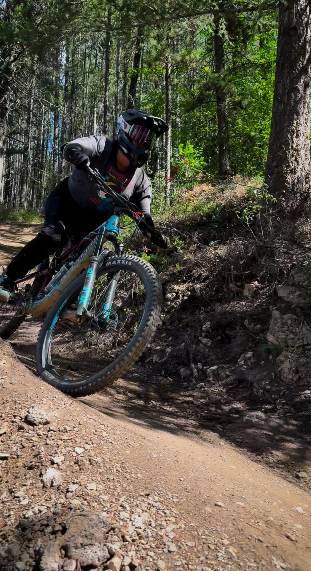 2014 Rocky Mountain Bicycles Altitude Blue and Red