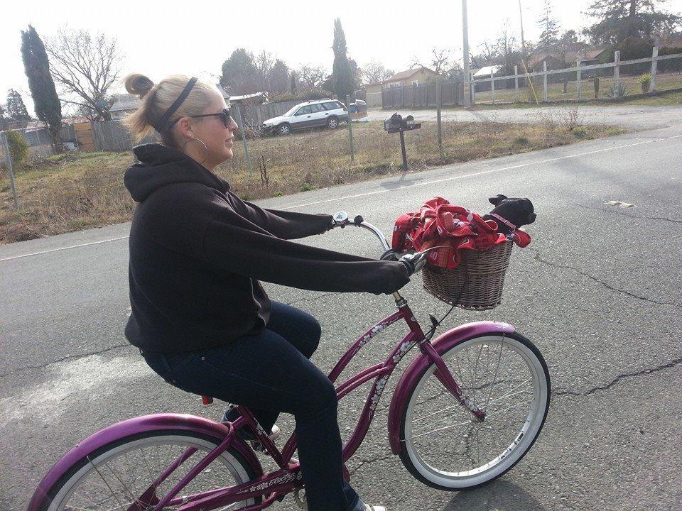 2009 Electra Hawaii Purple
