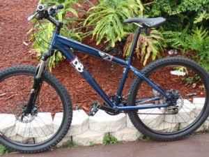 2010 Diamondback Topanga  Black