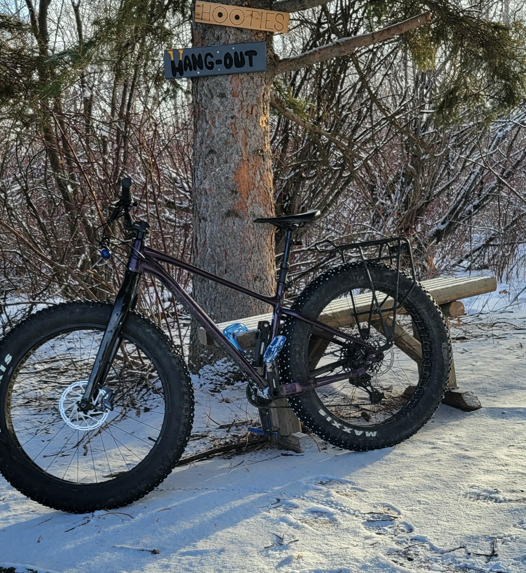 2020 Giant Yukon Purple