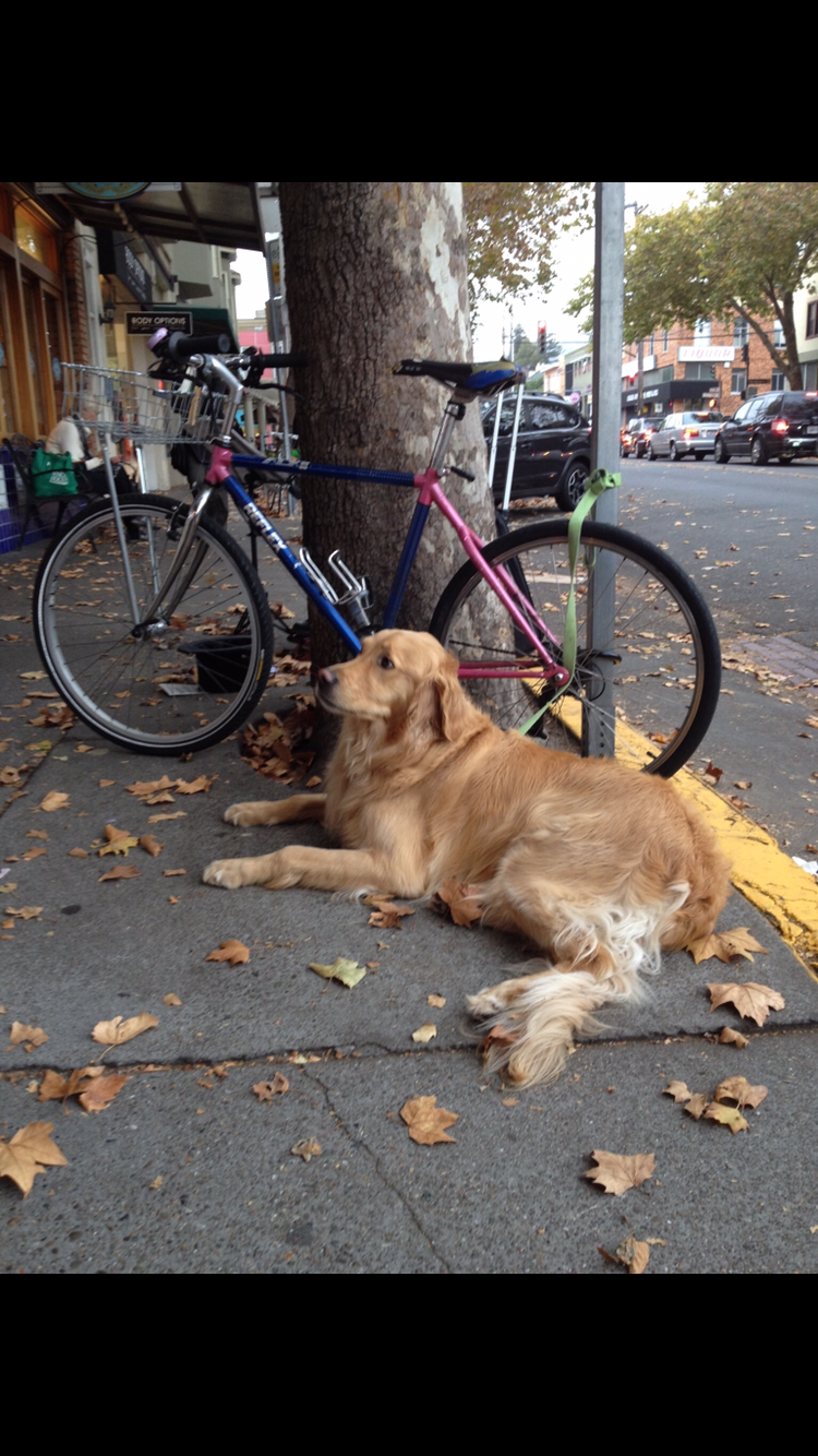1987 Raleigh Reflex Pink and Blue