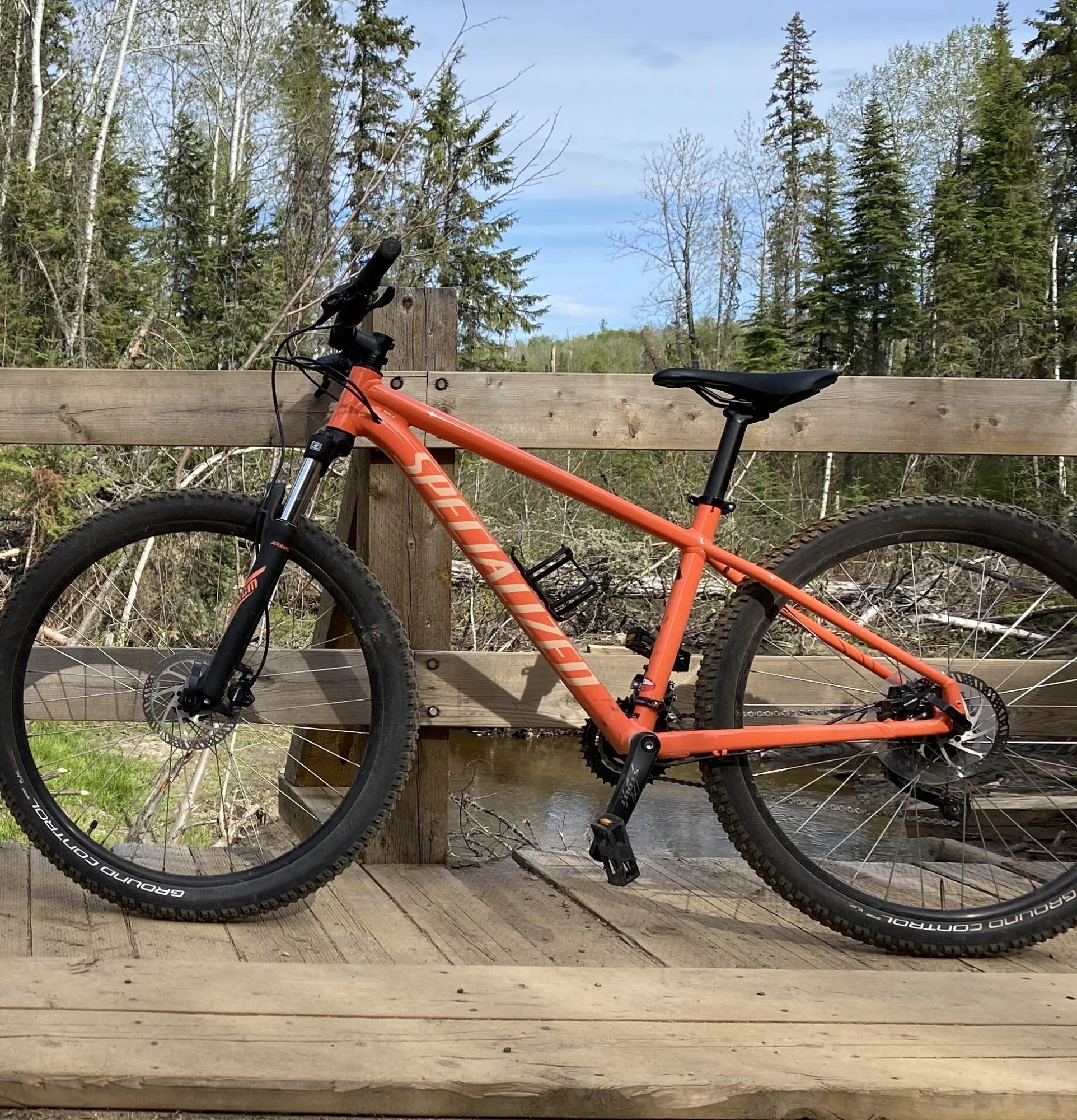 2019 Specialized Rockhopper Pink