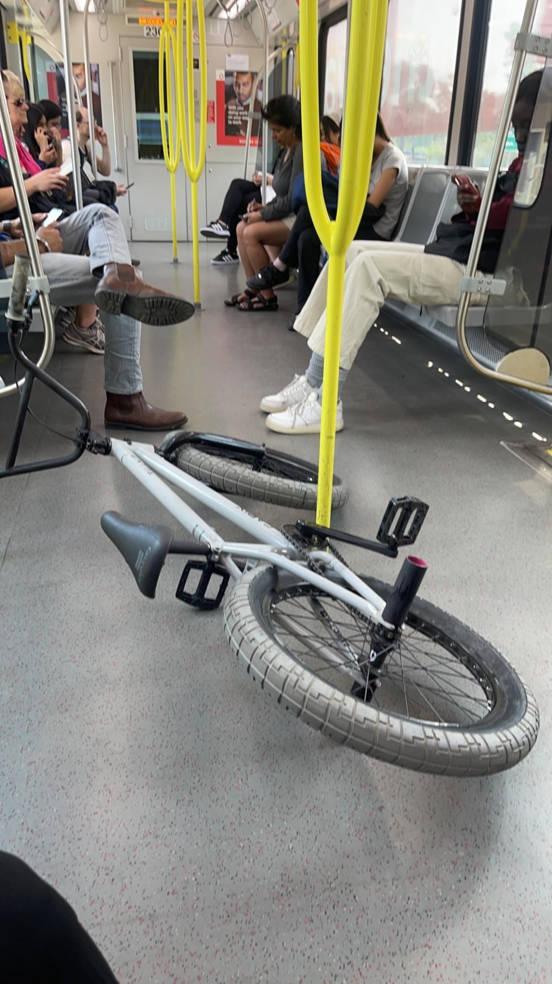 2022 Caprix Villan Villan Silver, gray or bare metal