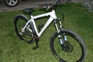 2009 Santa Cruz chameleon  White