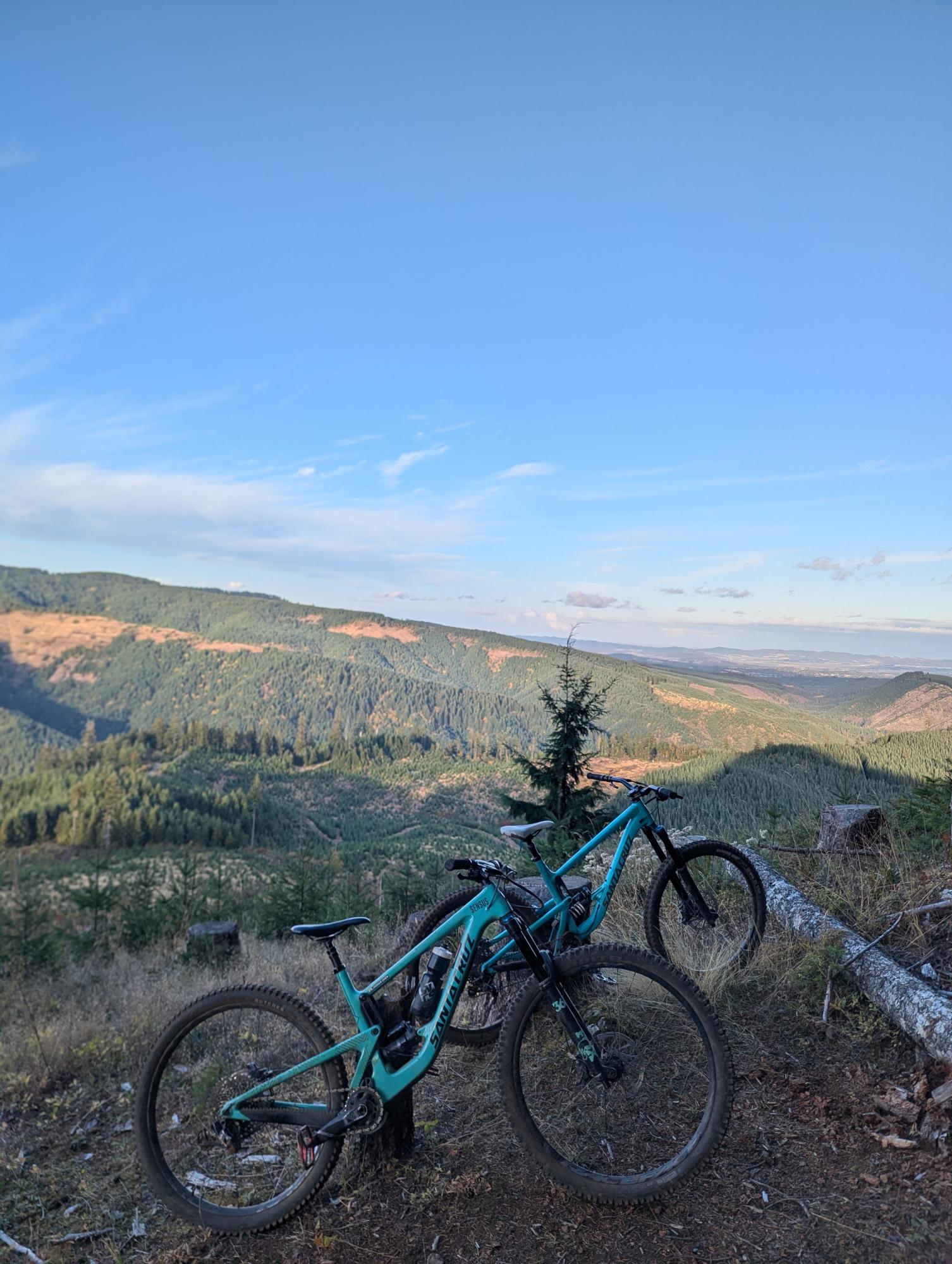 2019 Santa Cruz Megatower C Green and Black