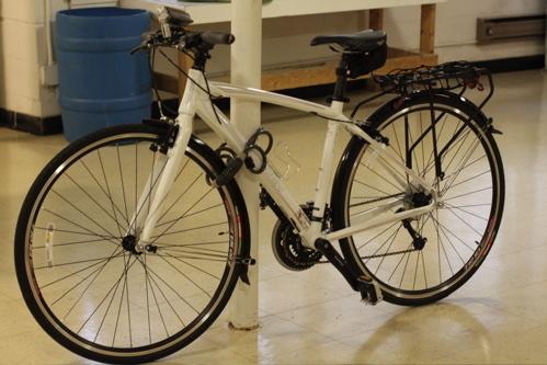2010 Raleigh Alyssa  Black