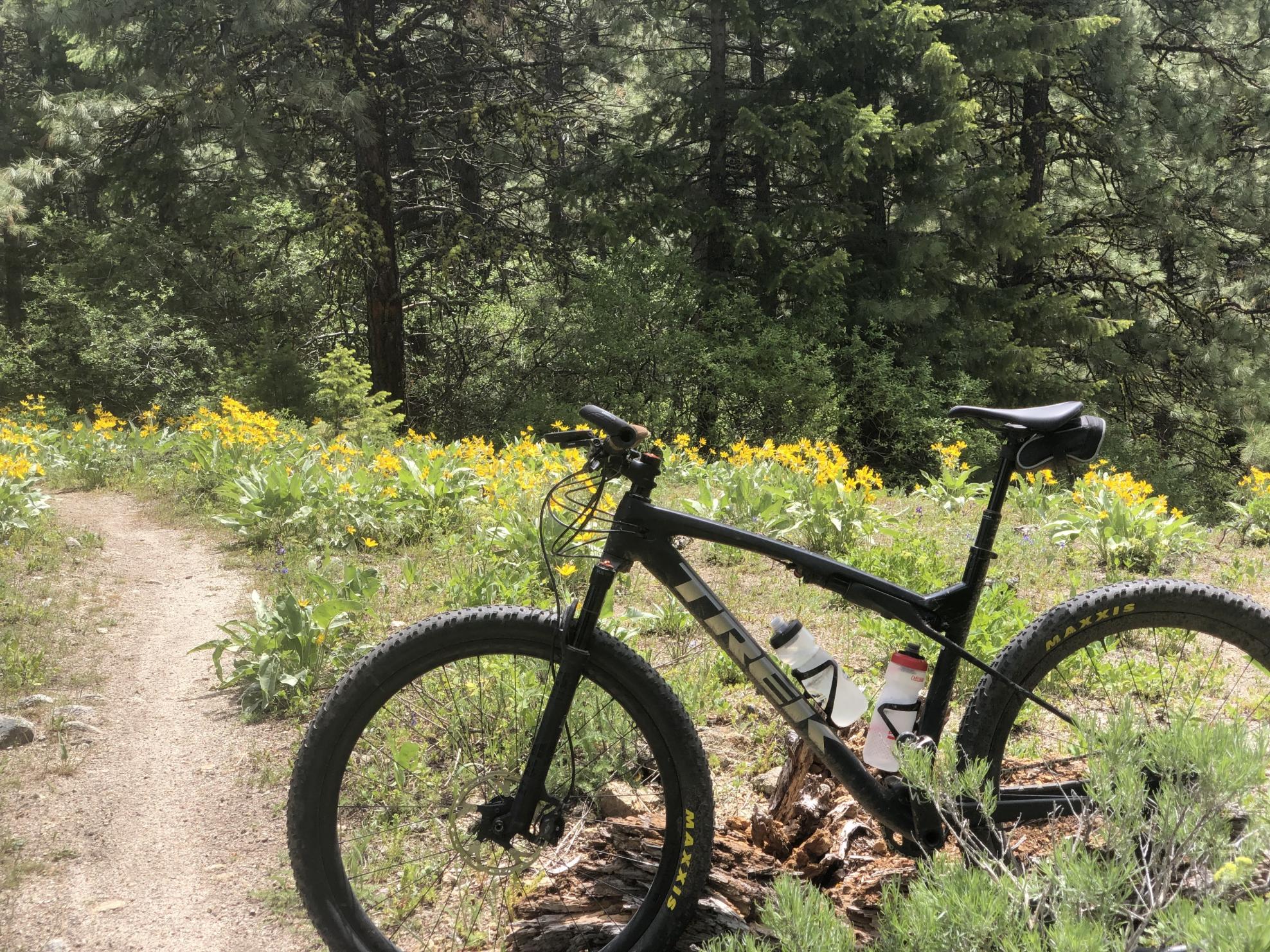 2021 Trek Super Caliber Black