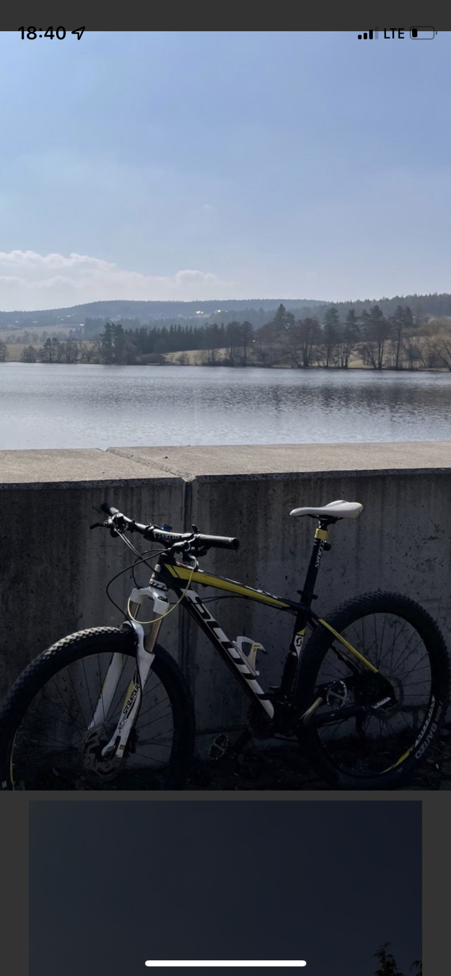 SCOTT Yellow or Gold and Black