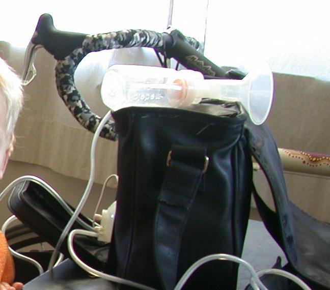 2001 Pegoretti Fina Estampa Brown and Yellow or Gold