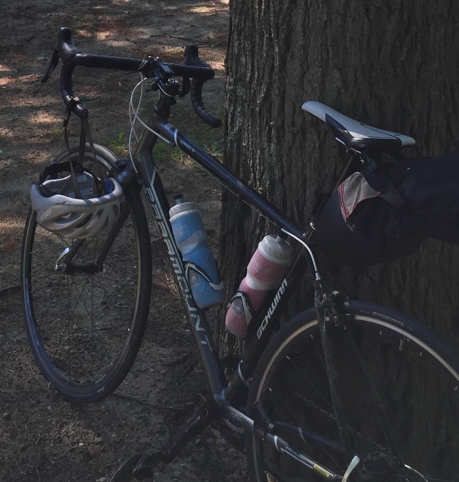 2016 Schwinn Paramount Series 5 Black