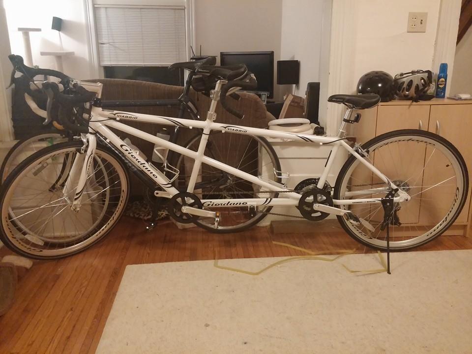 2014 Giordano Viaggio tandem White