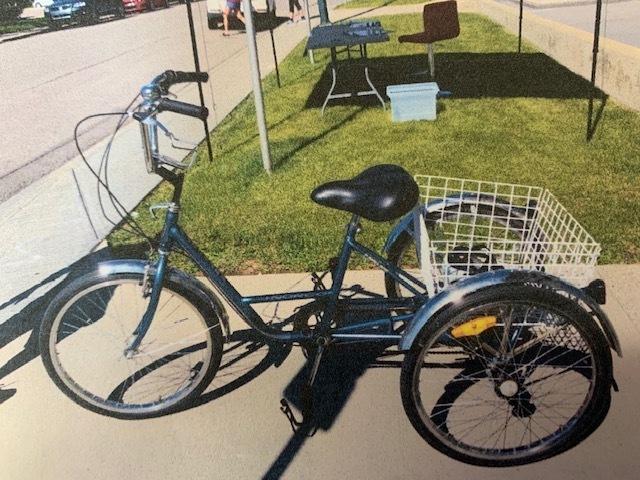 2020 Norco Bikes tricycle Blue