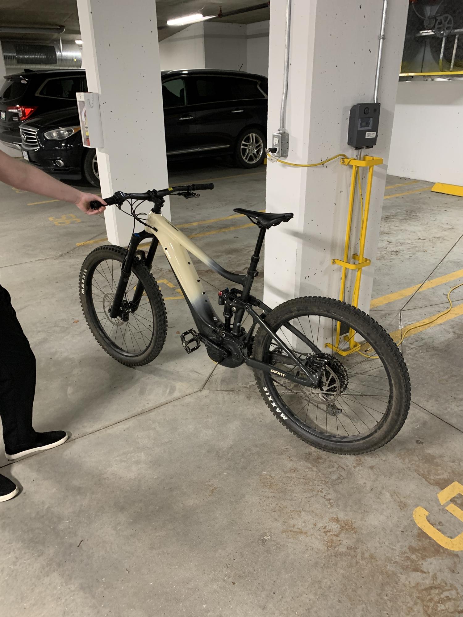 2020 Giant Reign E+ 2 Pro Black and Brown