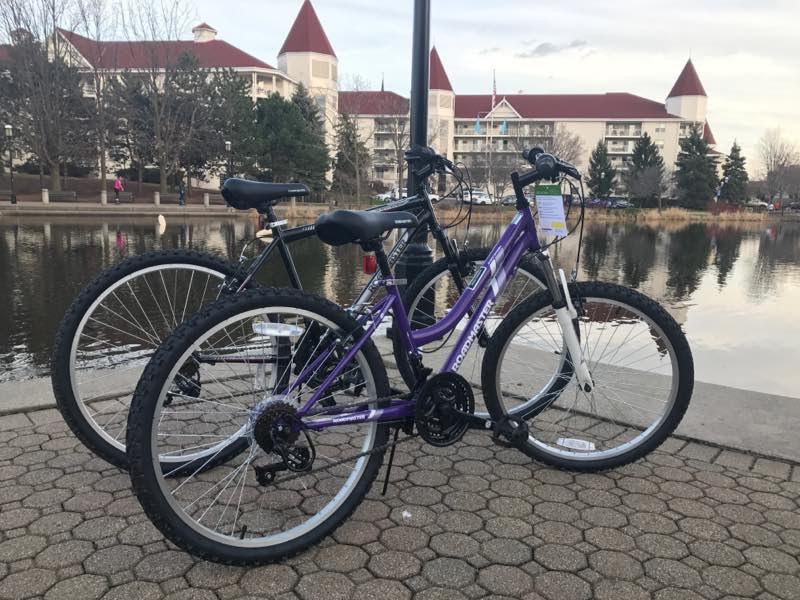 2017 Roadmaster 24 inch women's Purple