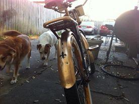 Panama Jack Beach Cruiser Black and Yellow or Gold