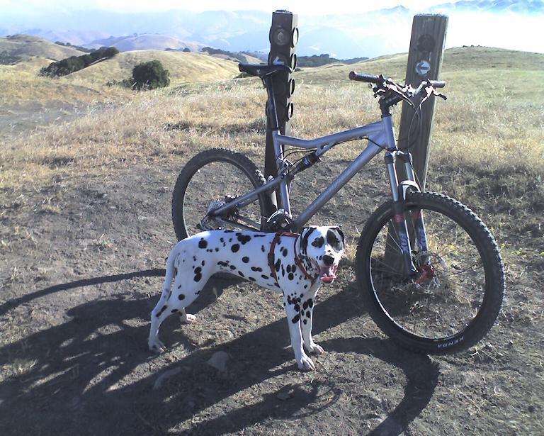 2007 Santa Cruz Blur LT  Black