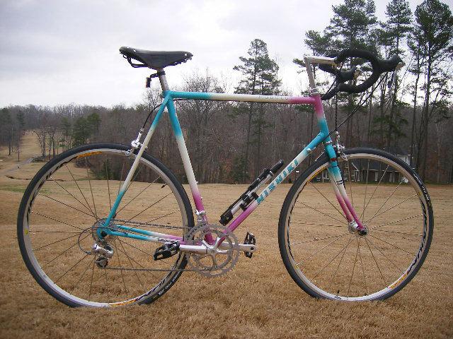 1987 Nishiki Modulus Purple