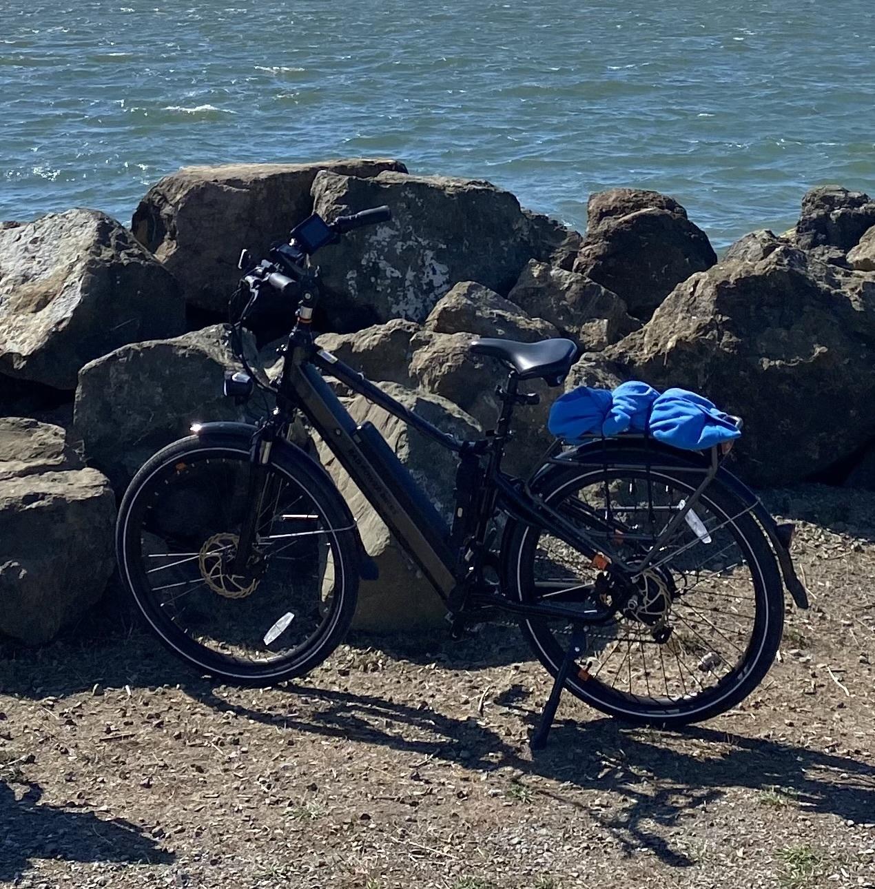 2021 Rad Power Bikes RadCity 5 Plus Black