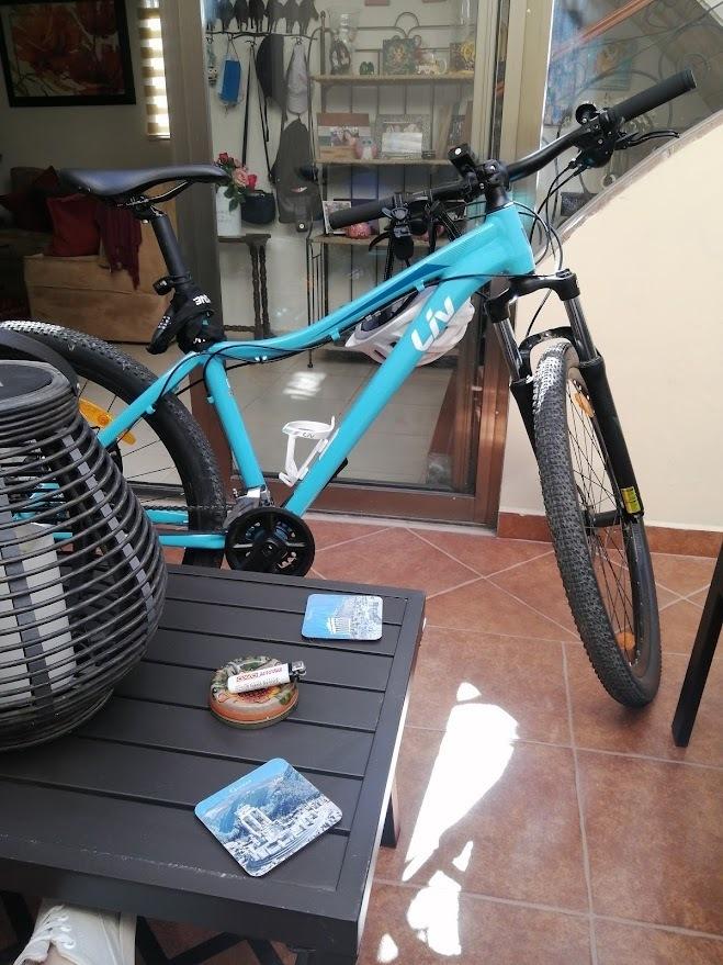 2018 Giant Bliss 2 Disc Blue