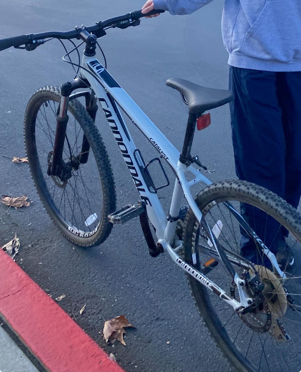 Cannondale Trail 6 Silver, gray or bare metal