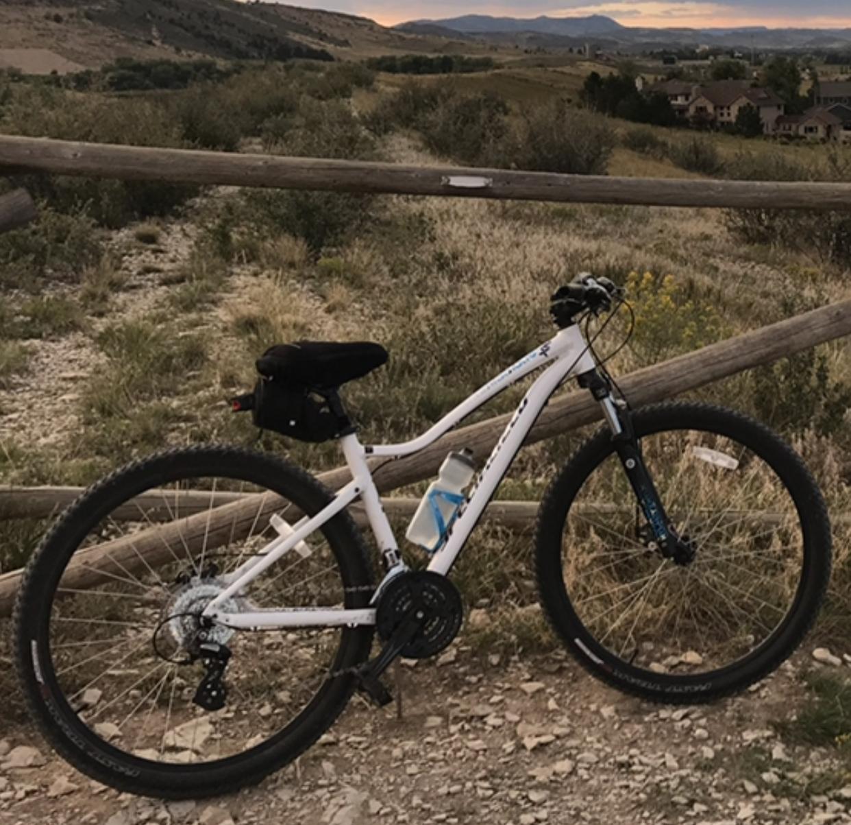2015 Specialized Jynx 650b White and Blue