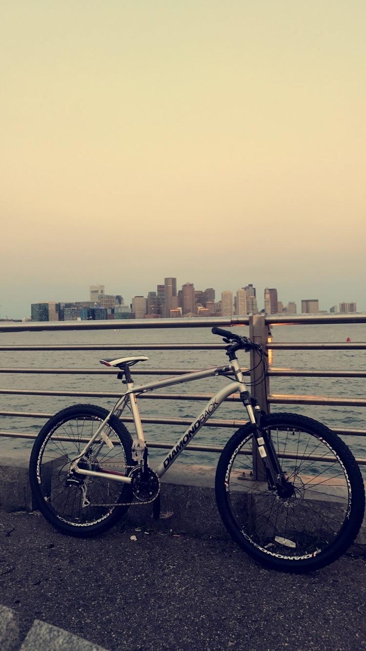 Diamondback Silver or Gray and Red