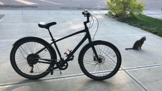 2020 Specialized Specialized Roll Elite Black