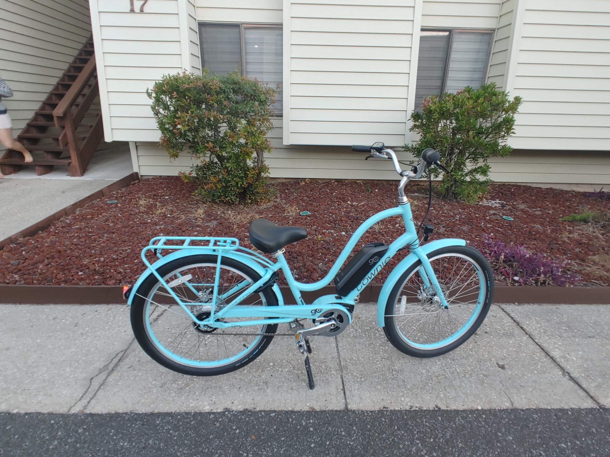 2021 Trek Blue