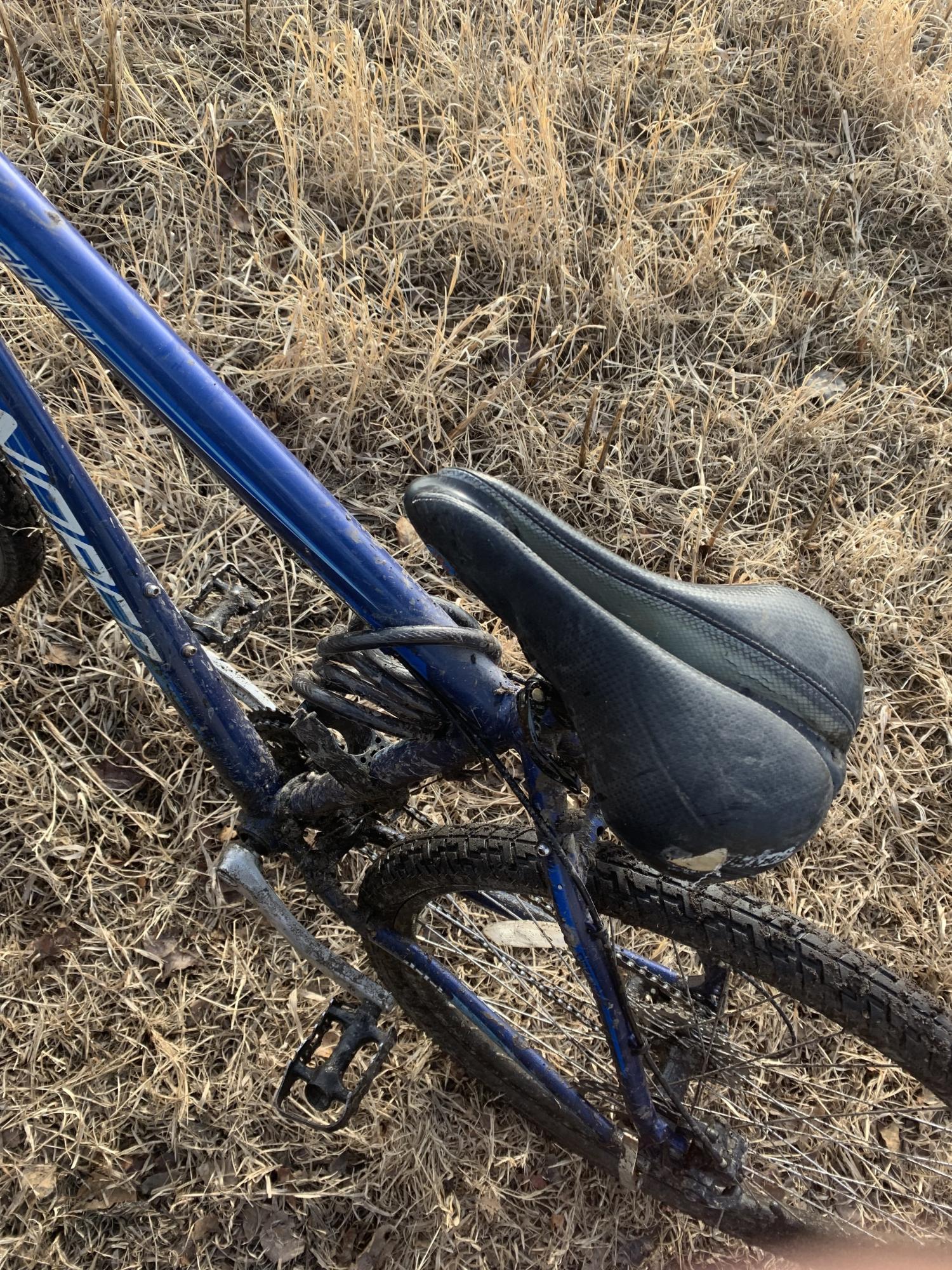 2009 Norco Bikes Bush Pilot Blue and Black