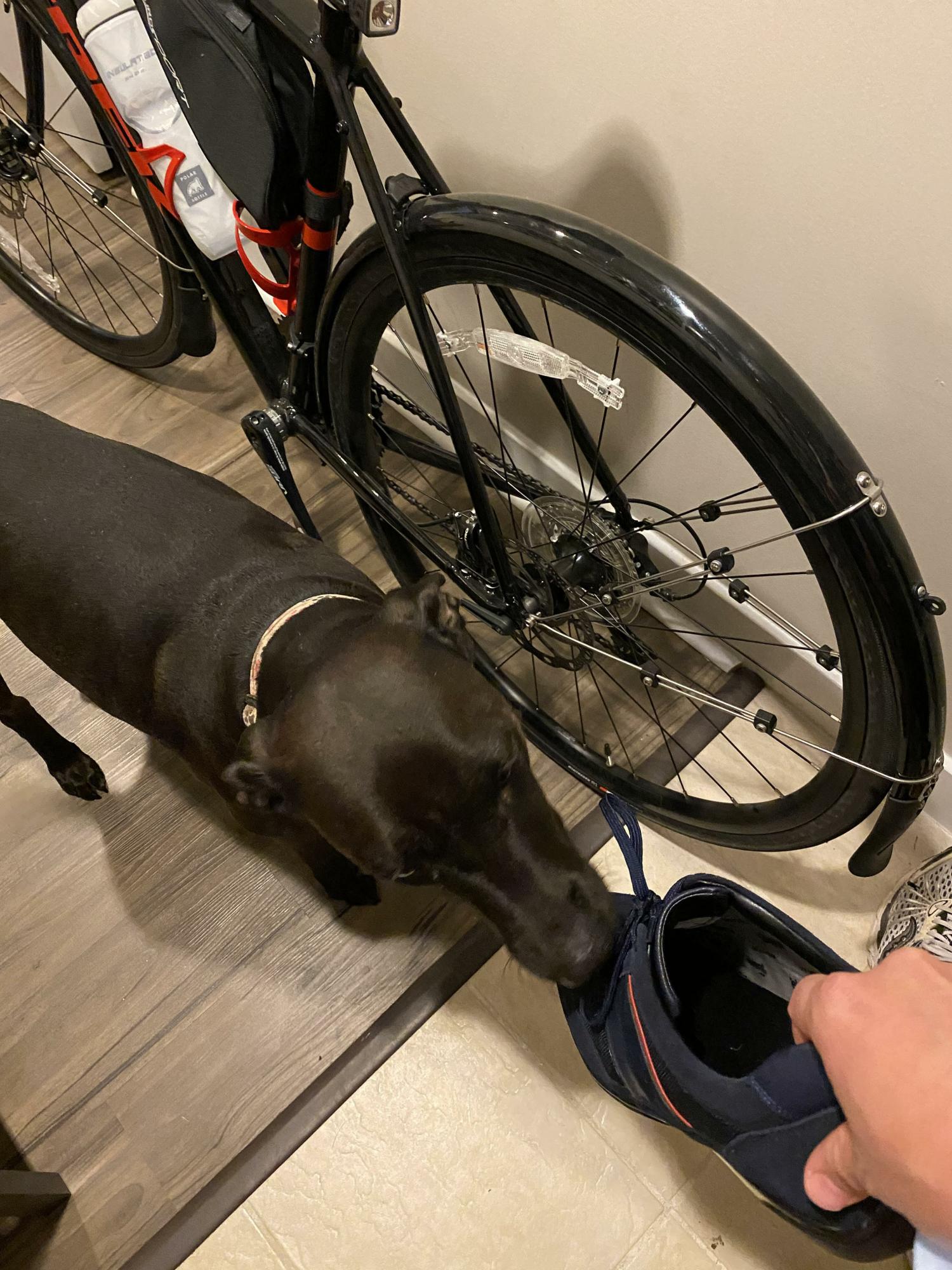 2020 Trek Checkpoint AL 3 Black