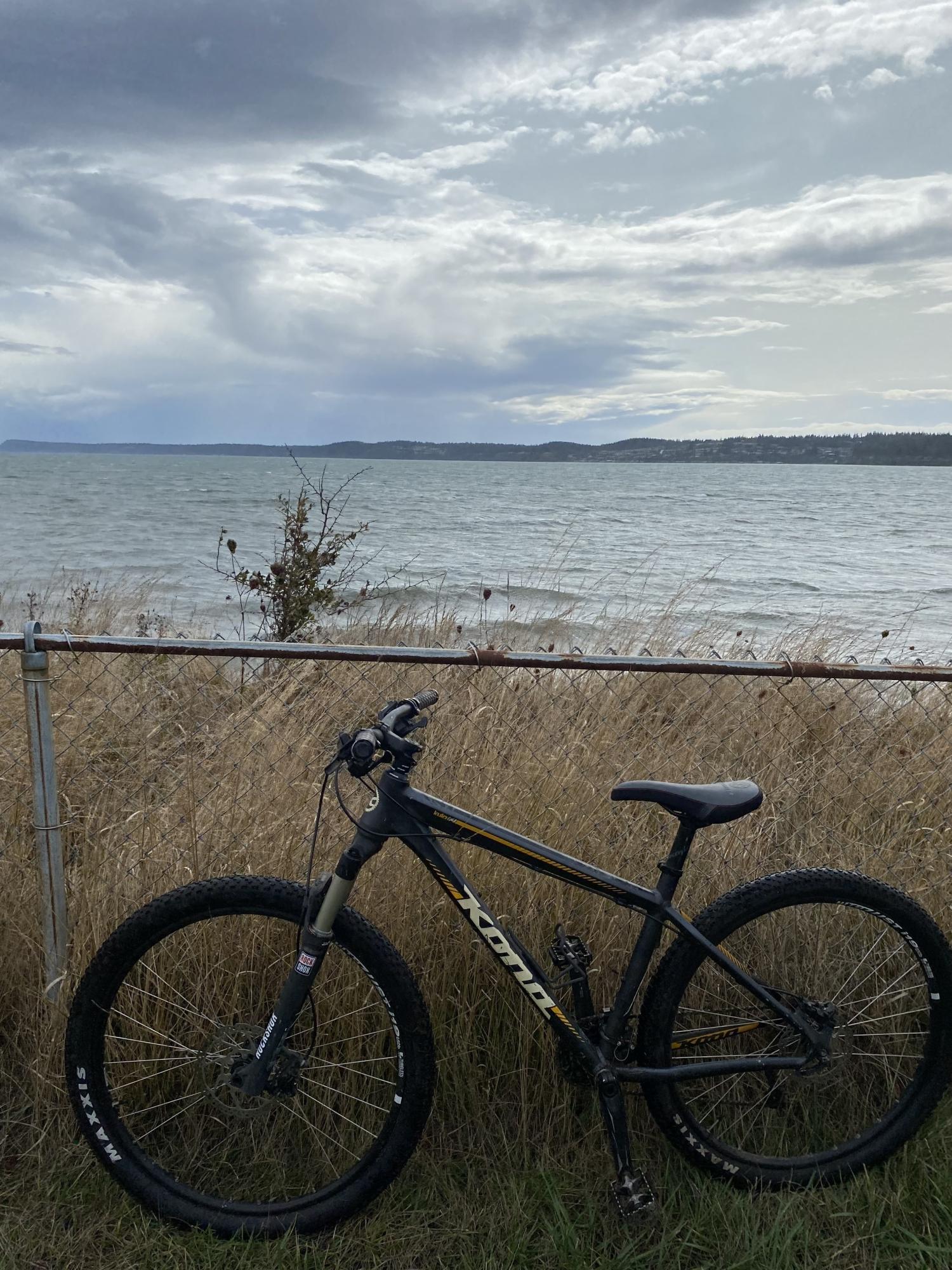 2015 Kona Kula (S) Black