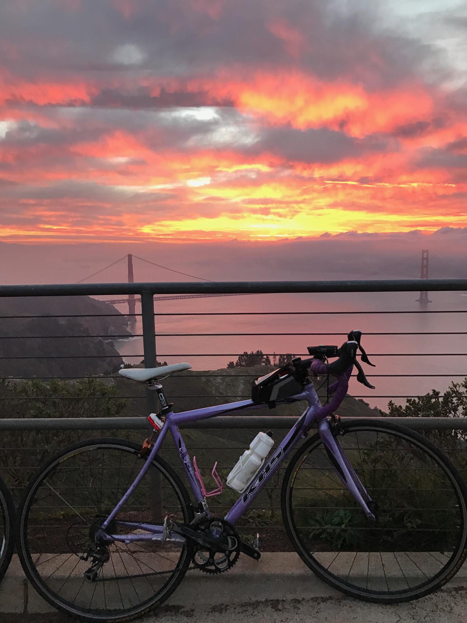2010 KHS Bicycles Purple